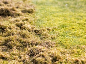 adobestock_309606598.jpeg
