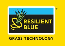 logo resilient blue