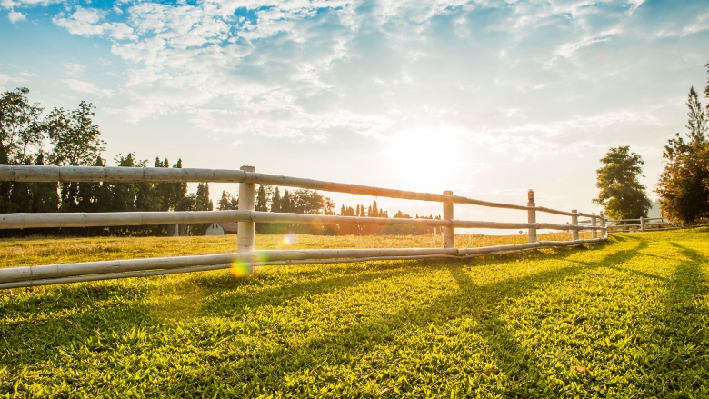 perfectingpastures-2-1920x1080.jpg