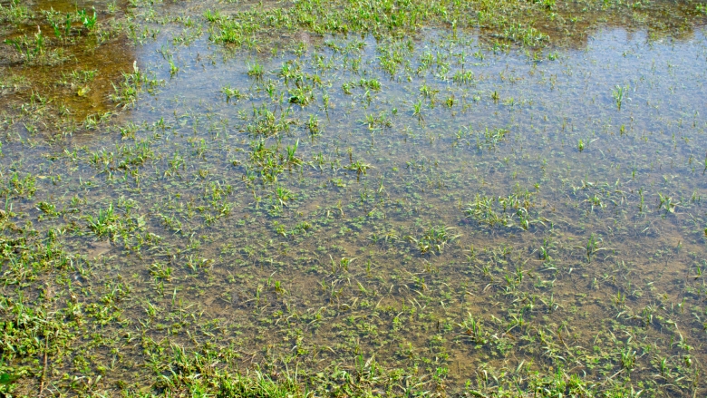 soilcompaction-2-1920x1080.jpg