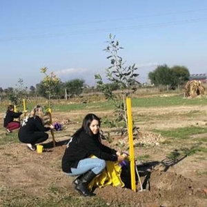 BARSA5.1.jpg
