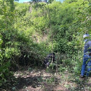 Earth Day Project (5).jpg