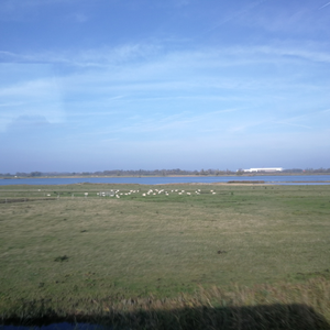 Foto 5 Zonnebloem Oosterhout.png