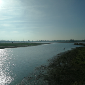 Foto 6 Zonnebloem Oosterhout.png