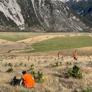 HWH-NZ-restoration2.jpg