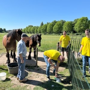 IMG_1666.jpg