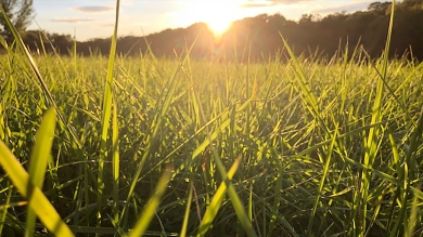warmseason-2-1920x1080.jpg