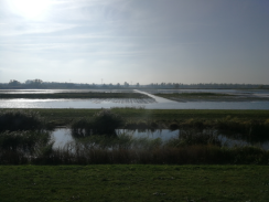 Foto 7 Zonnebloem Oosterhout.png