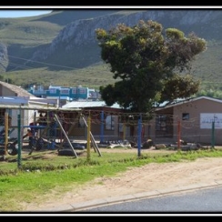 HwH BarSA3.jpg