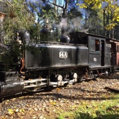 Puffing Billy Railway4.jpg