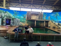 Zeeleeuwenshow dolfinarium.jpg