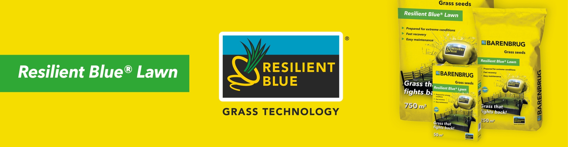 Header - Resilient Blue Lawn - Sowing instructions