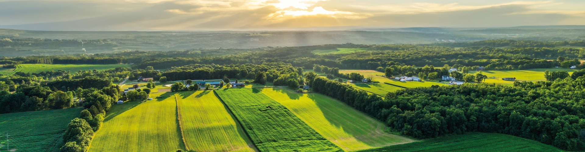 Homepage header