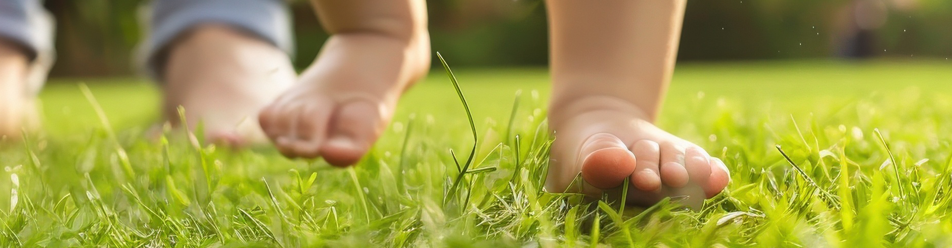 Landscape_feet.png