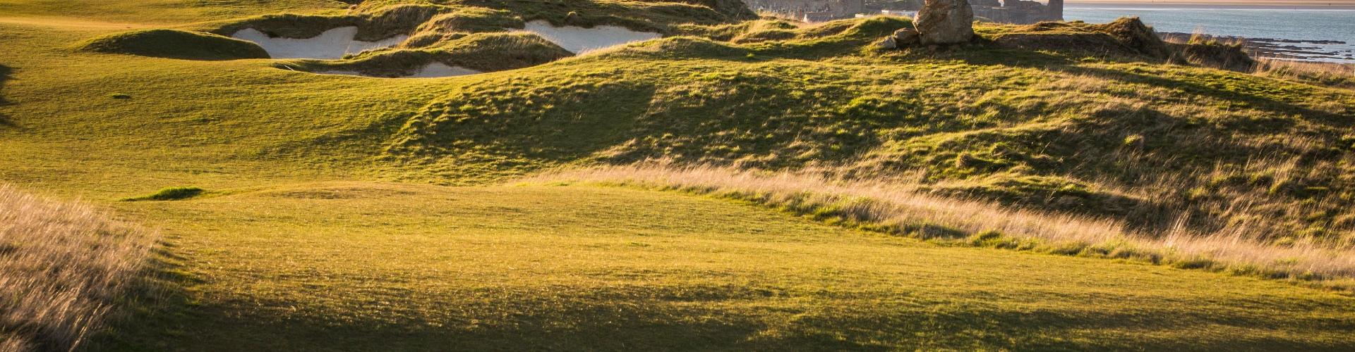 Naturalized-Header-1920x1080.jpg