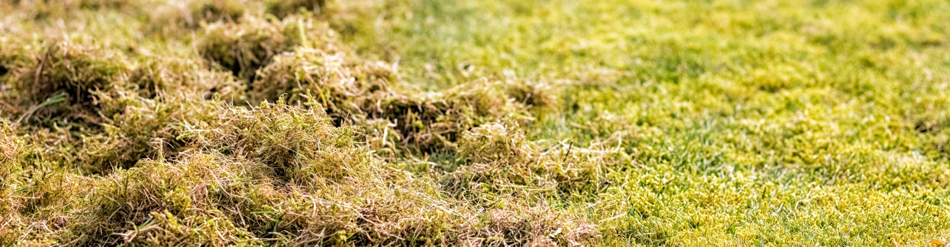 adobestock_309606598.jpeg