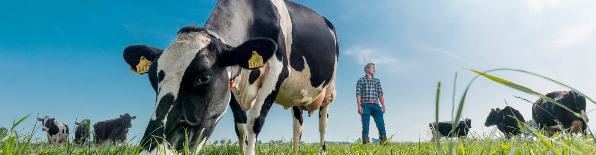 header_feeding_future_1900x500_0.jpg
