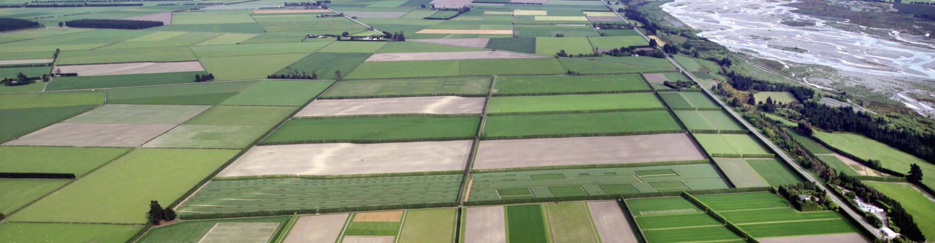 Research Farm_from East Nov04 1_300_20cm.jpg