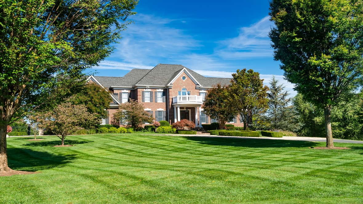 Home lawn - header.jpg